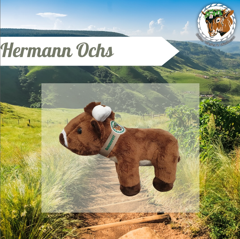 Hermann Ochs