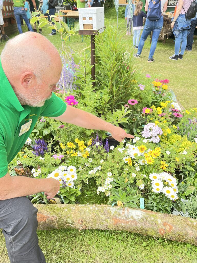 Blumen Ochsenfest